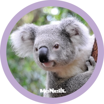 McNeill McAddys DSCHUNGEL Koala 046 (1tlg.)