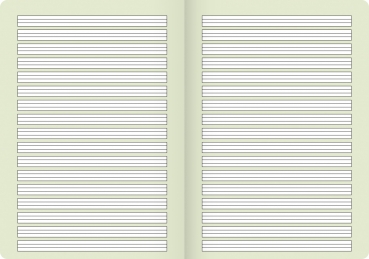 Preview: BRUNNEN Schulheft Vivendi A4 Lin.2 32Blatt