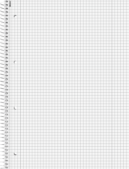 Preview: BRUNNEN Collegeblock Premium Student Fast Wheels A4, kariertmit Randlinie innen und außen