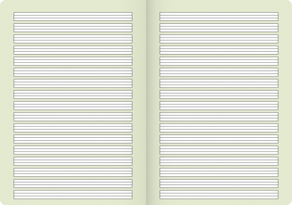 BRUNNEN Schulheft Vivendi A4 Lin.2 16Blatt