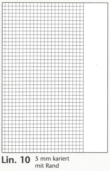 BRUNNEN Schulheft A5 Lin.10 32Blatt