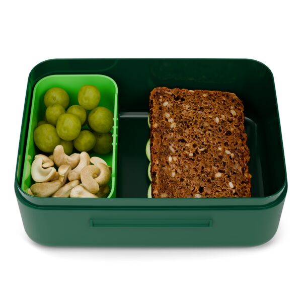 ergobag Brotdose Dinosaurier