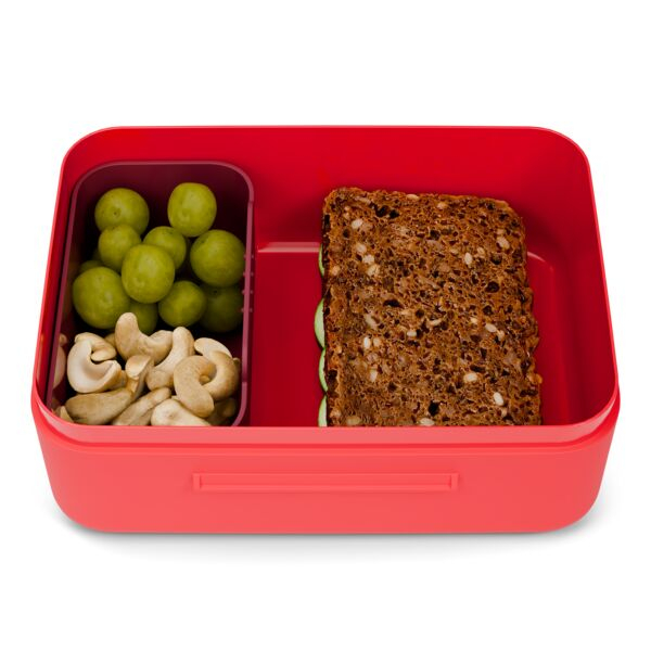 ergobag Brotdose Drache