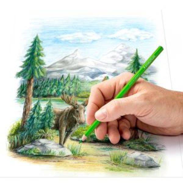 Staedtler® Coloured pencils Farbstifte