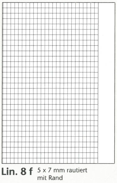 BRUNNEN Schulheft A5 Lin.8f 16Blatt